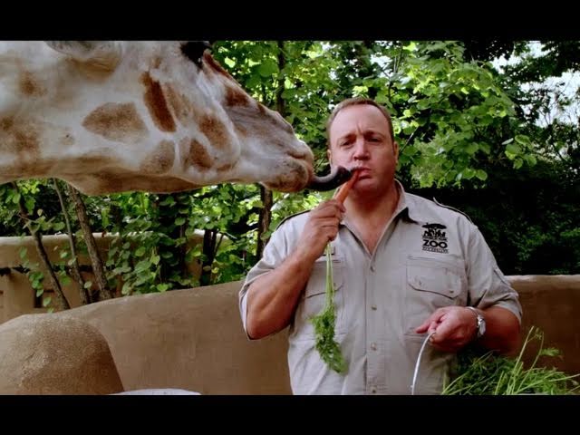 Zookeeper-Best-Movies-on-YouTube-TV