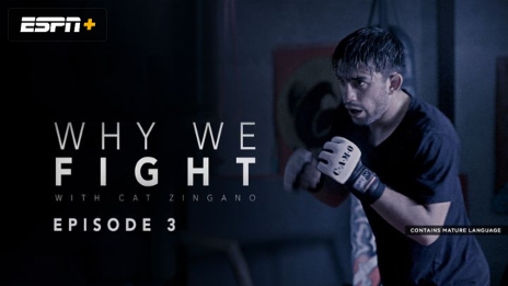 Why-We-Fight