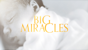 Watch Big Miracles in Canada on 9Now