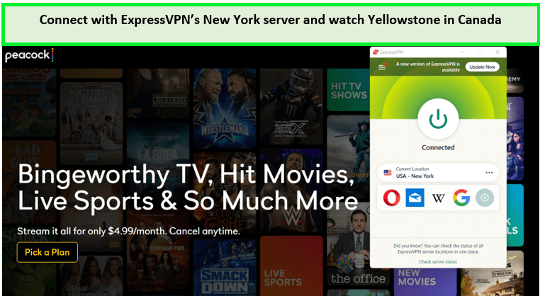 Connect-with-ExpressVPN-New-York-server-and-watch-croods-family-tree-house-in-Canada 