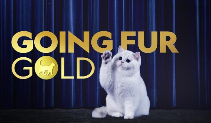 Watch Going Fur Gold in Canada on Disney Plus