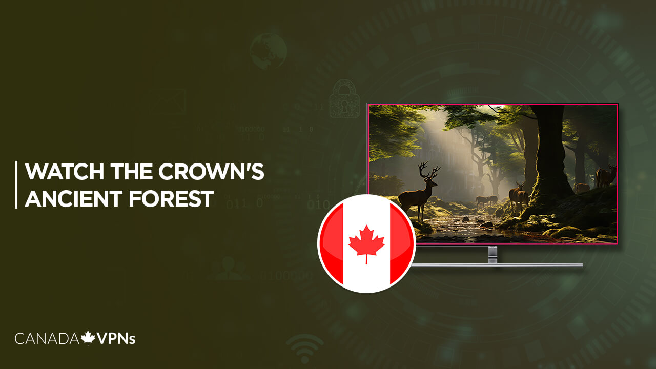 Watch-The-Crowns-Ancient-Forest-in-Canada 