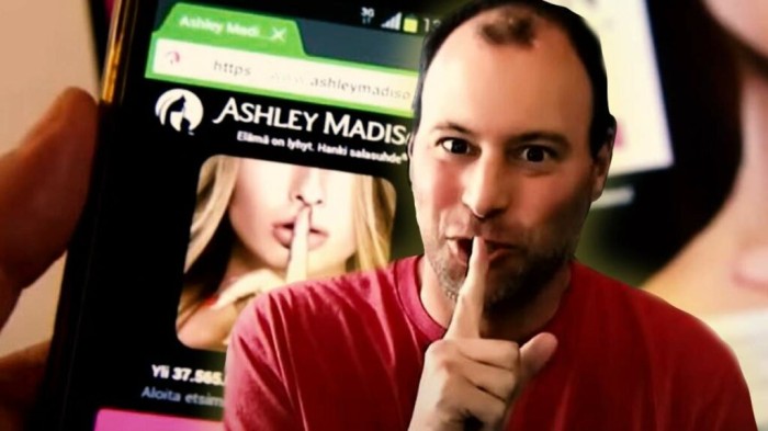 The-Ashley-Madison-Affair